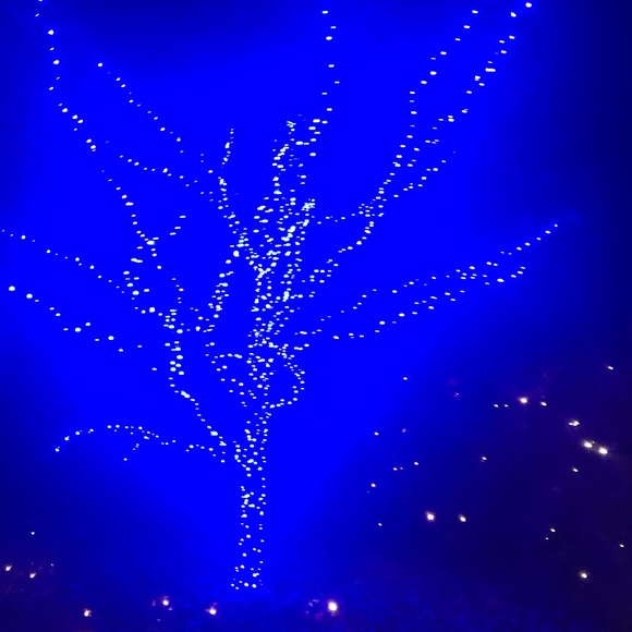 Meet your Posher, Kristy - Picture 1 of 1